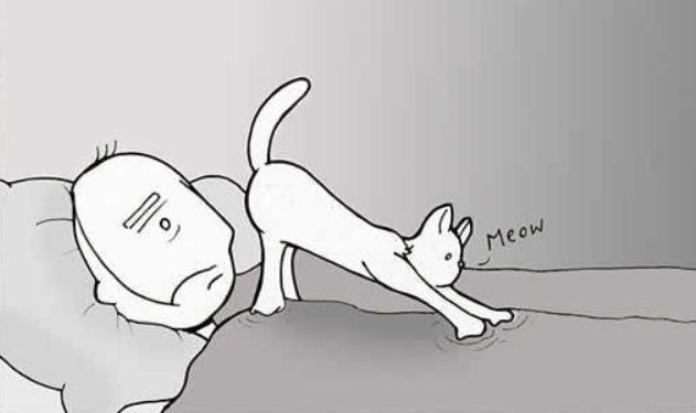 Here S What Your Cat Is Telling You When It Sticks Its Butt In Your Face