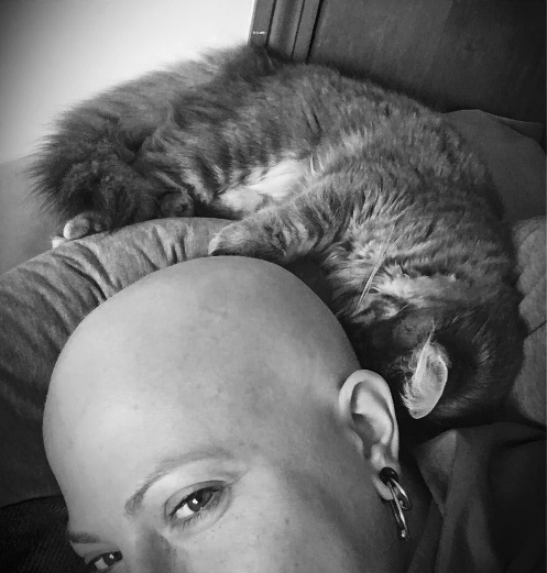 cat warms head during chemo 3