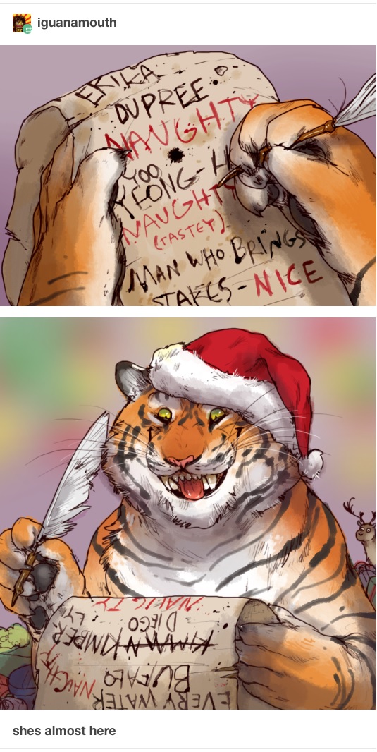 sasha the christmas tiger 3