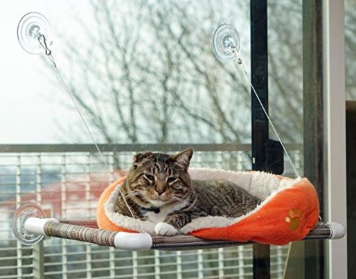 13 christmas gifts for cat lovers