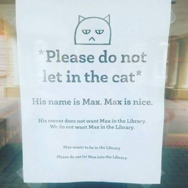 max the library cat 3