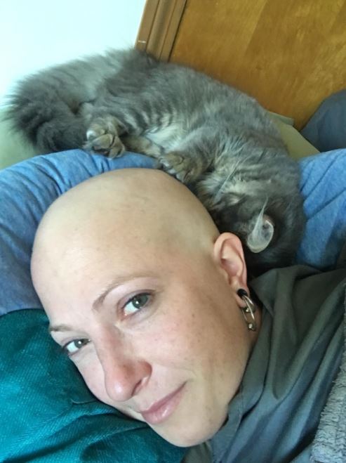 cat warms her head during chemo 4