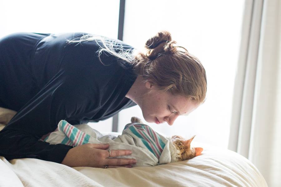 couple announces new baby on facebook with kitten photos 11