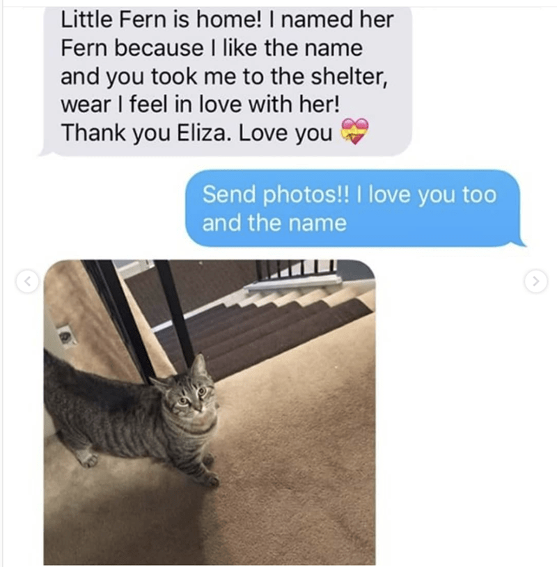 grandma texts pictures of her cat 1
