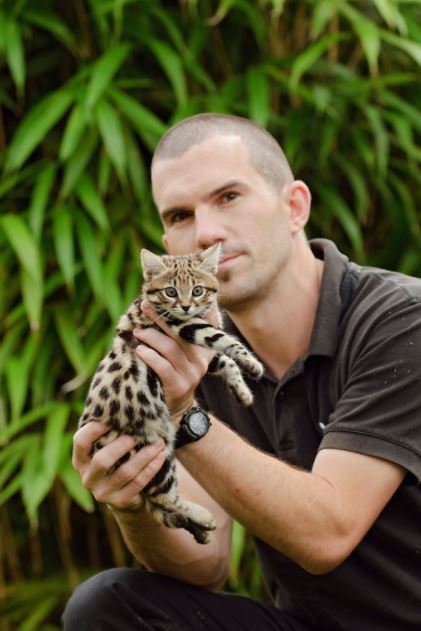 rusty spotted cat baby