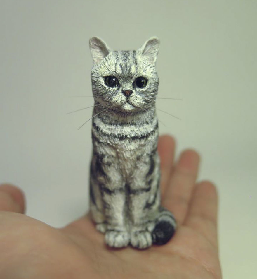 hand sculpt peoples cats 11