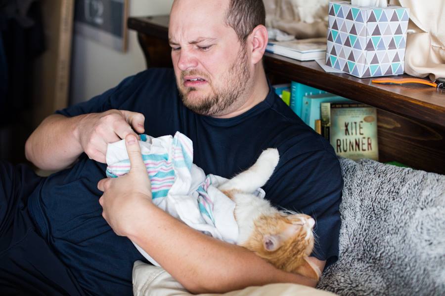 couple announces new baby on facebook with kitten photos 8