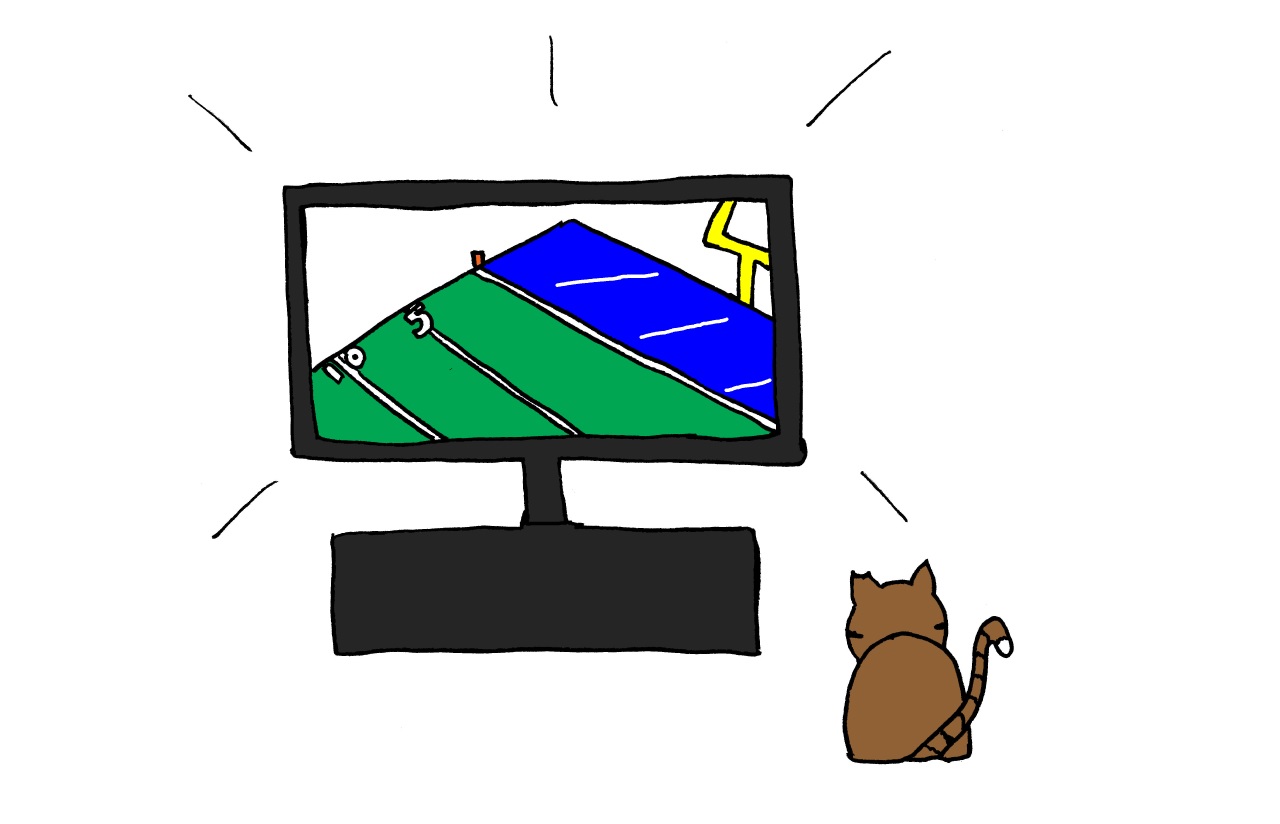 cat's guide to the super bowl