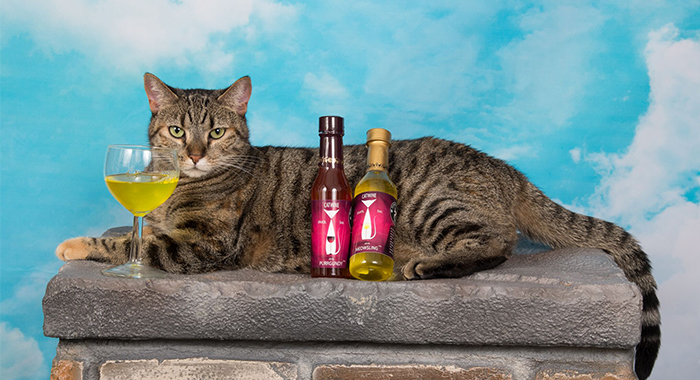national drink wine with your cat week