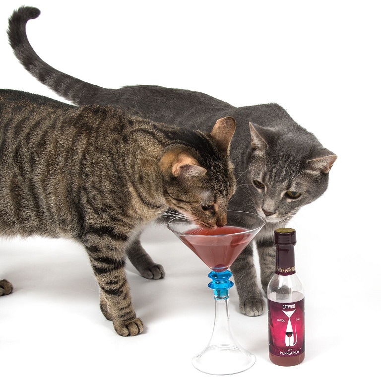 national drink wine with your cat week 3
