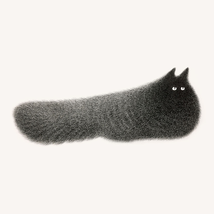fluffy black cat ink 11