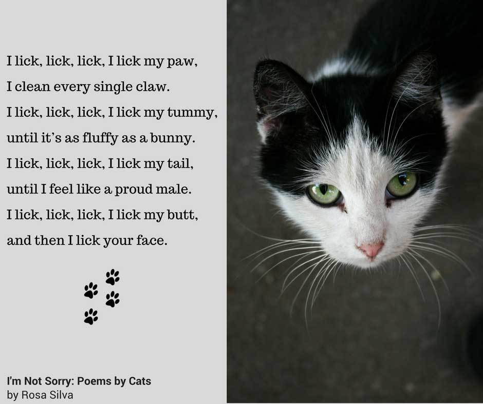 cat poems 1