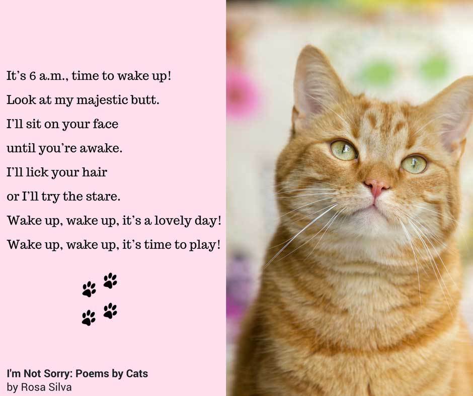 cat poems 3