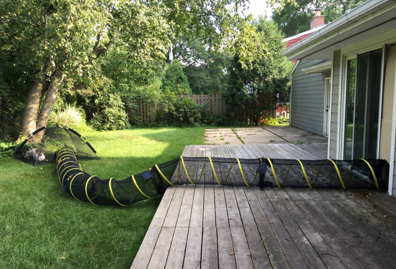 outdoor cat tunnel and tent