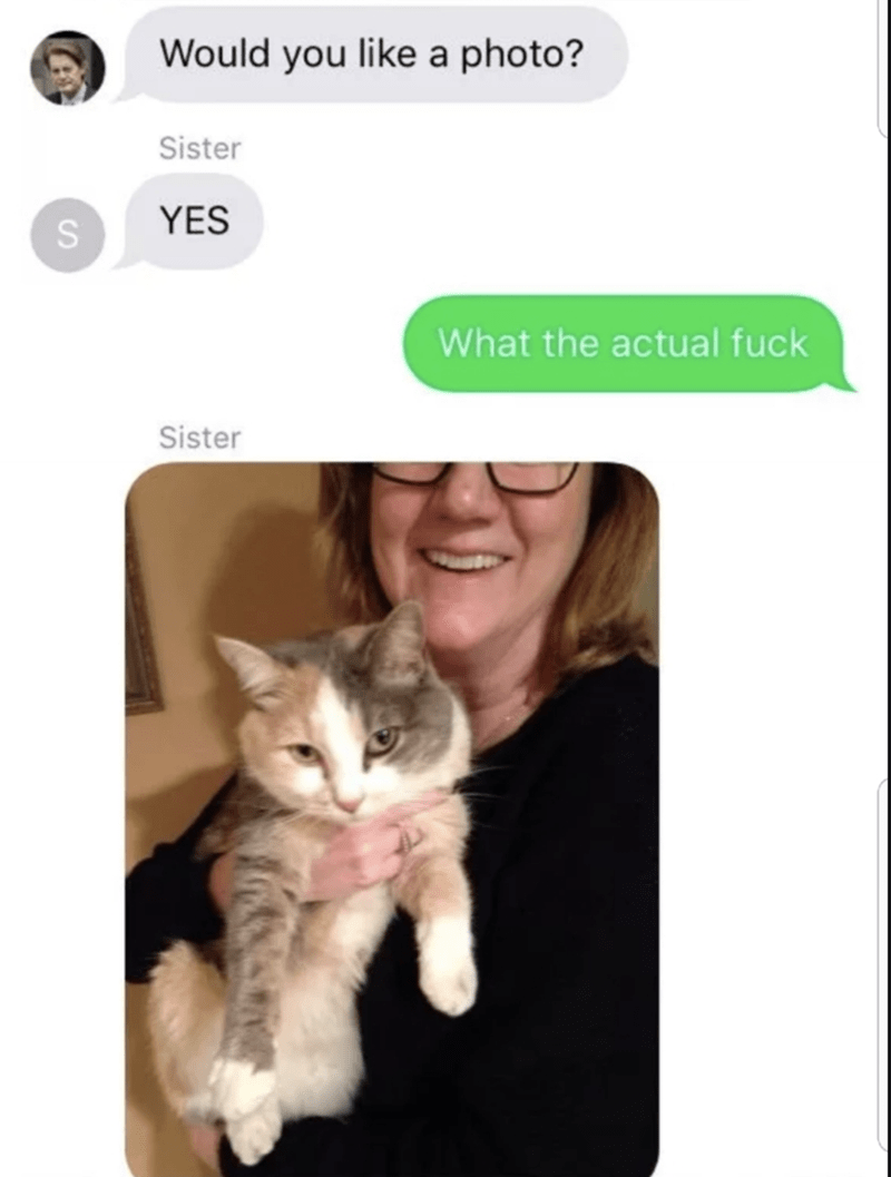 cat text 3
