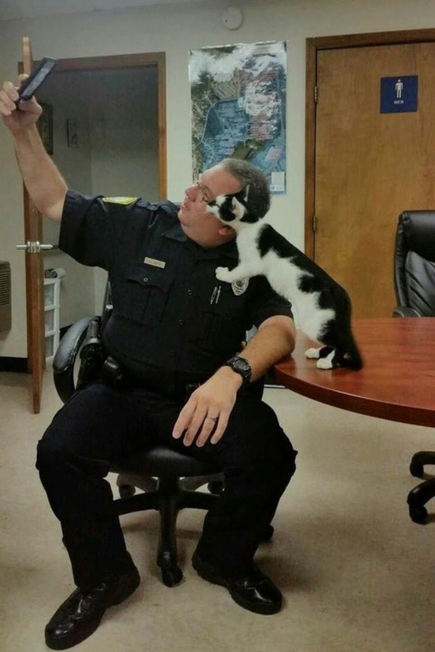 cat cop selfie 2