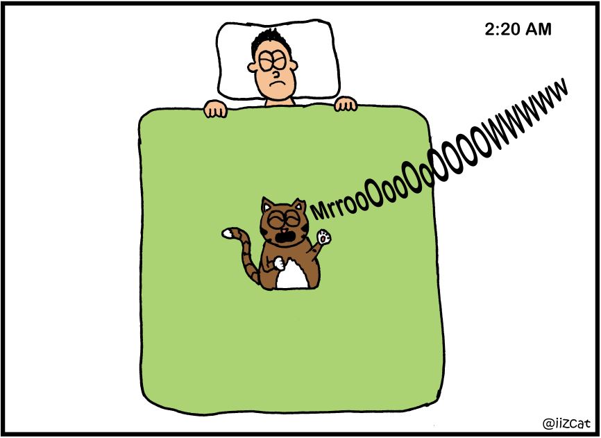 sleepy cat comic 3