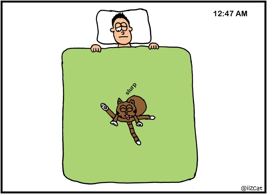 sleepy cat comic 2