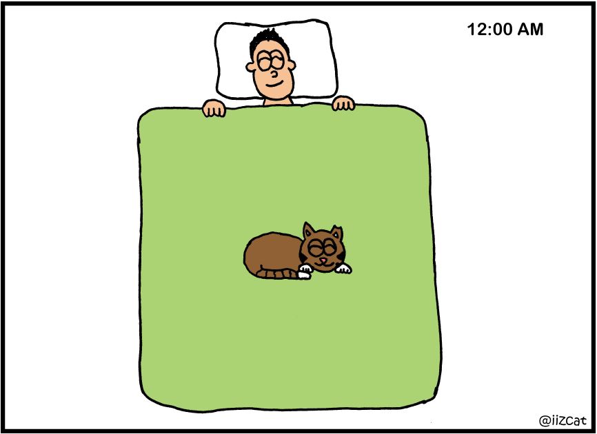 sleepy cat comic 1