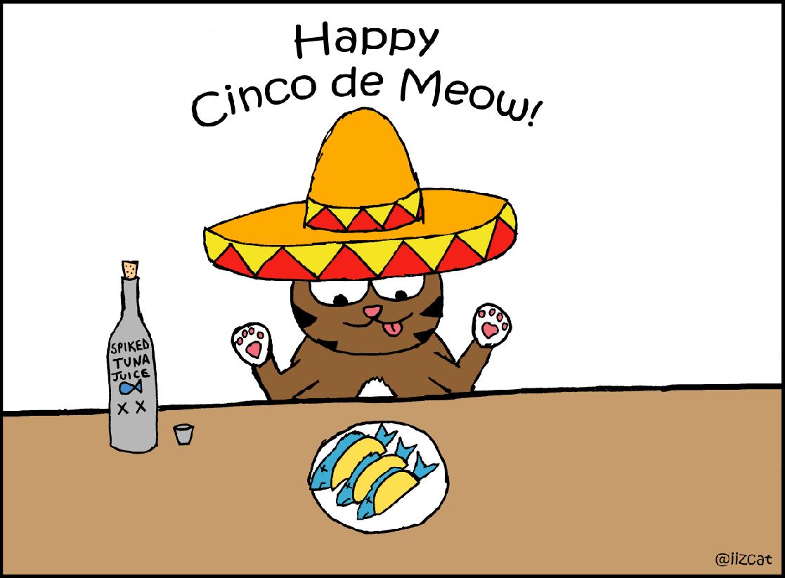 cinco de meow iizcat 2