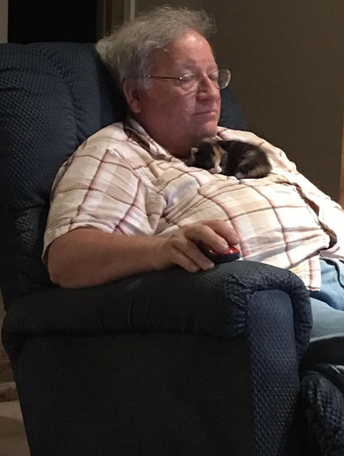 dad finds kitten 1