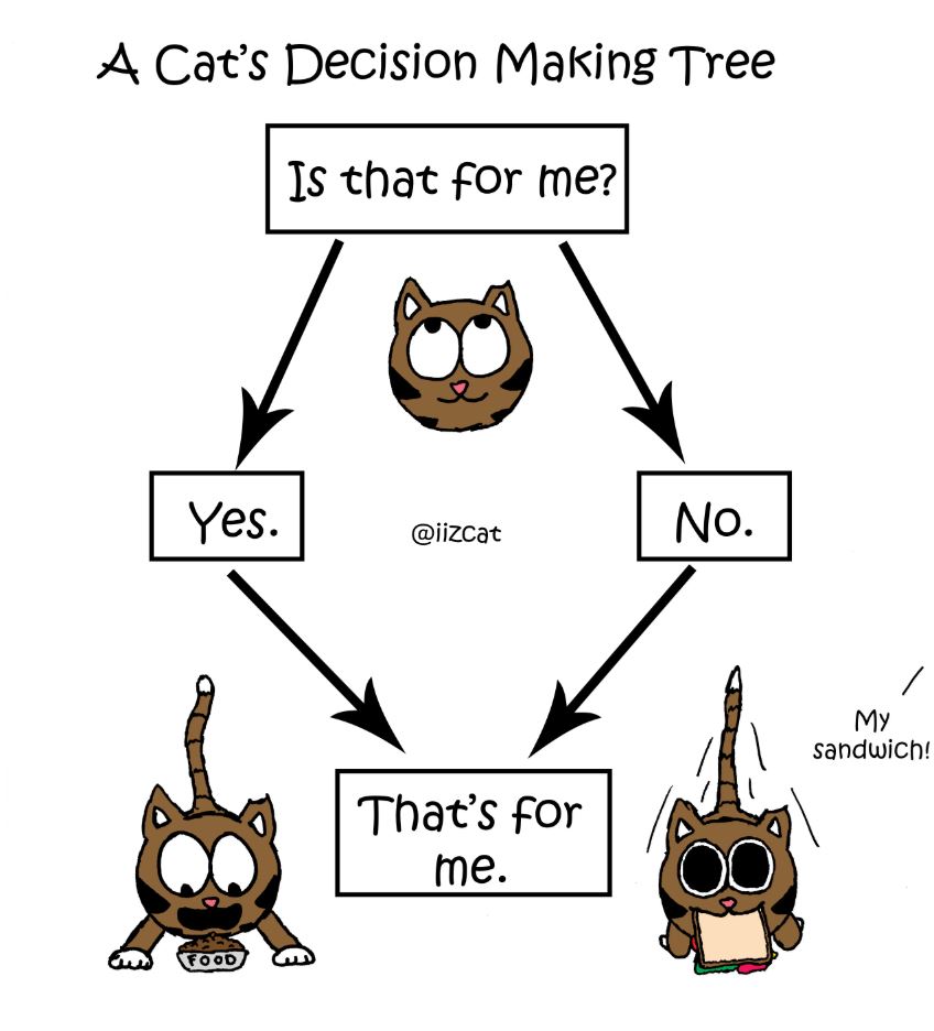 iizcat decision making tree