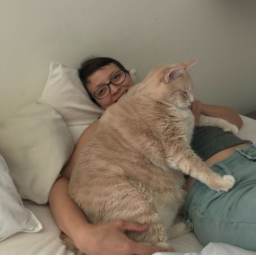 33 pound cat adopted 3