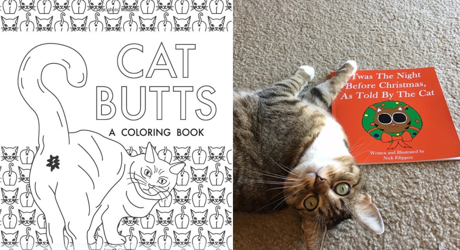 cat videos