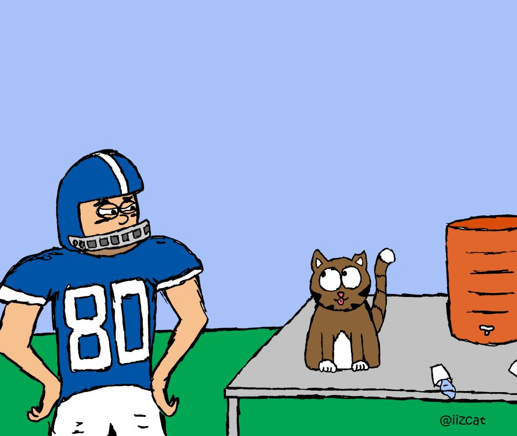 iizcat cat football comic 4