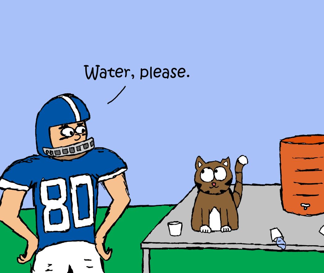 iizcat cat football comic 1