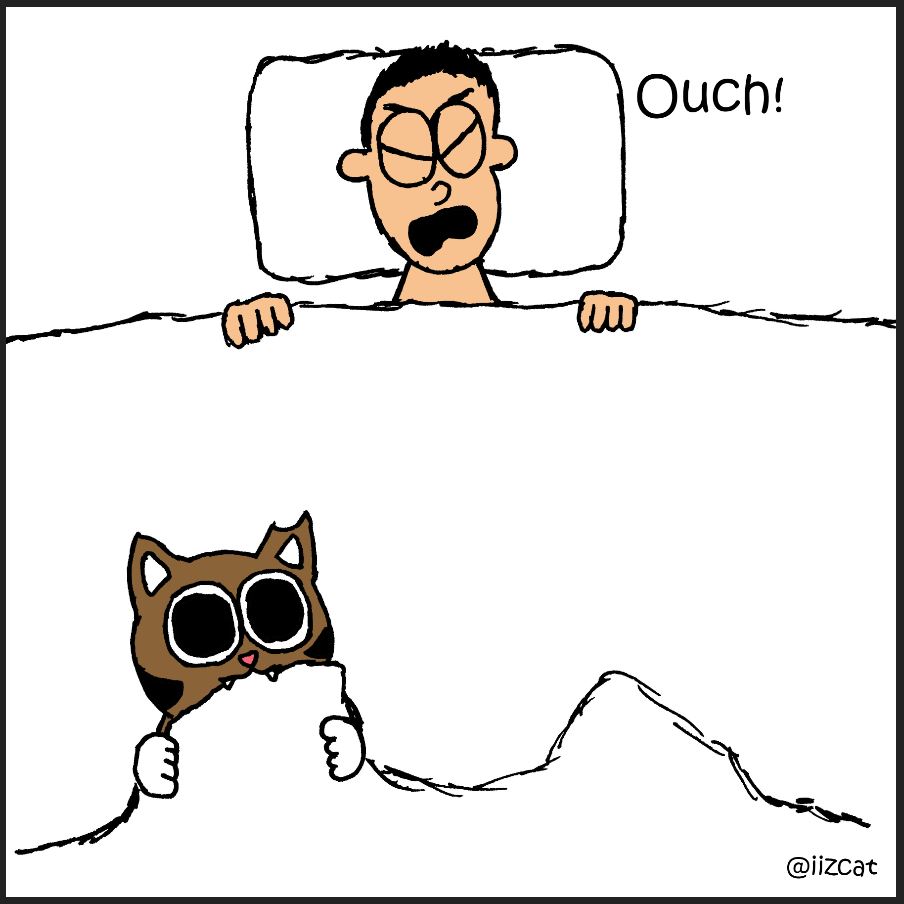 iizcat bedhseet monster comic 5