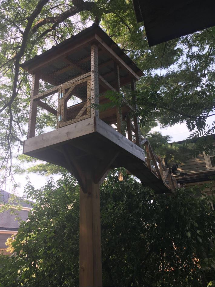 cat treehouse tree cats tower indoor bridge dad outdoor builds he could outside outdoors enjoy epic play safely catio keep