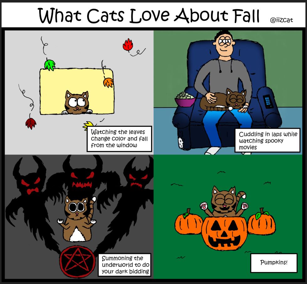 what cats love about fall