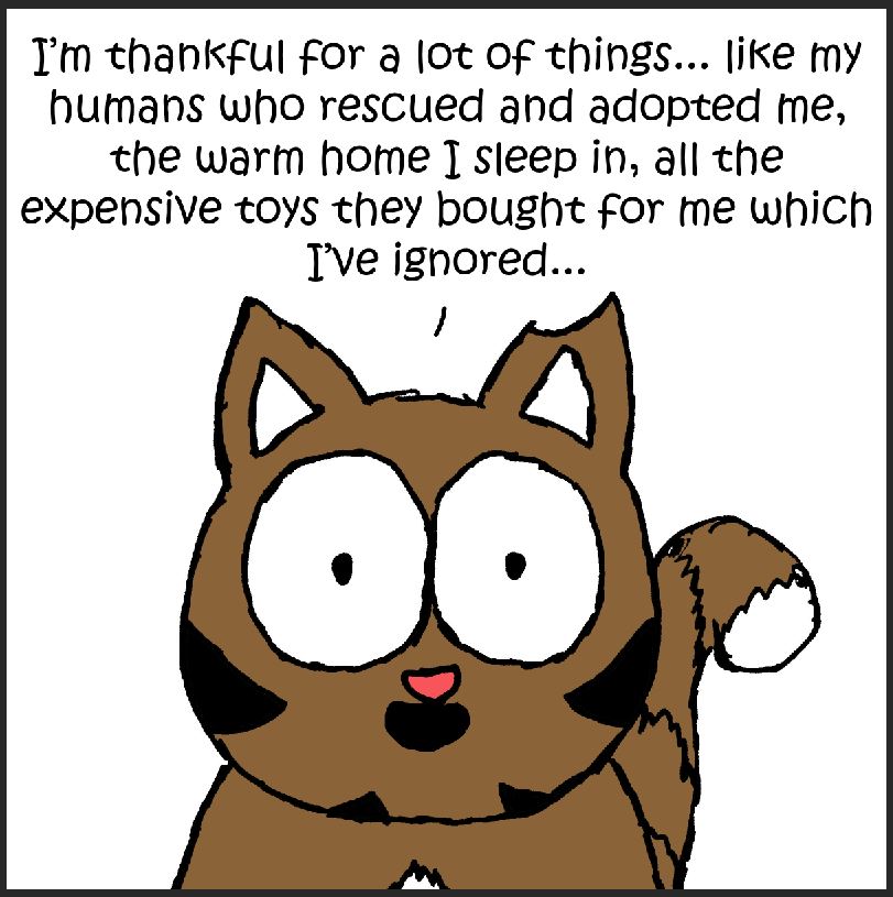 thankful iizcat comic 1