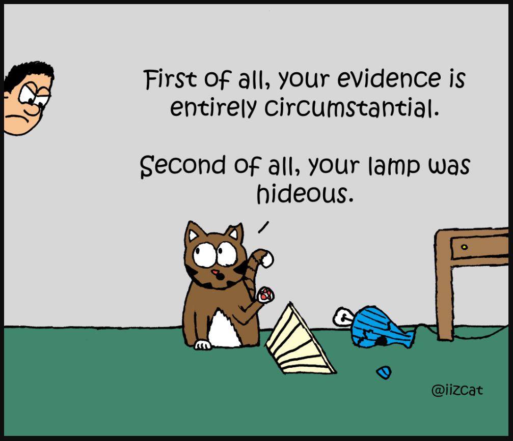 iizcat cat breaks lamp comic