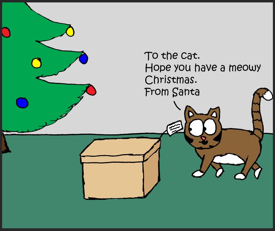 iizcat christmas box comic 1