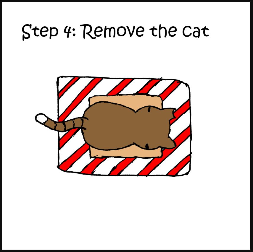 iizcat how to wrap a present cat comic 4