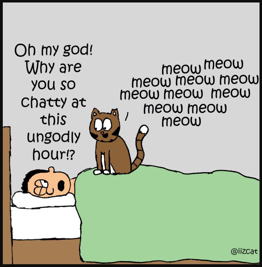 iizcat meaning of life comic 6