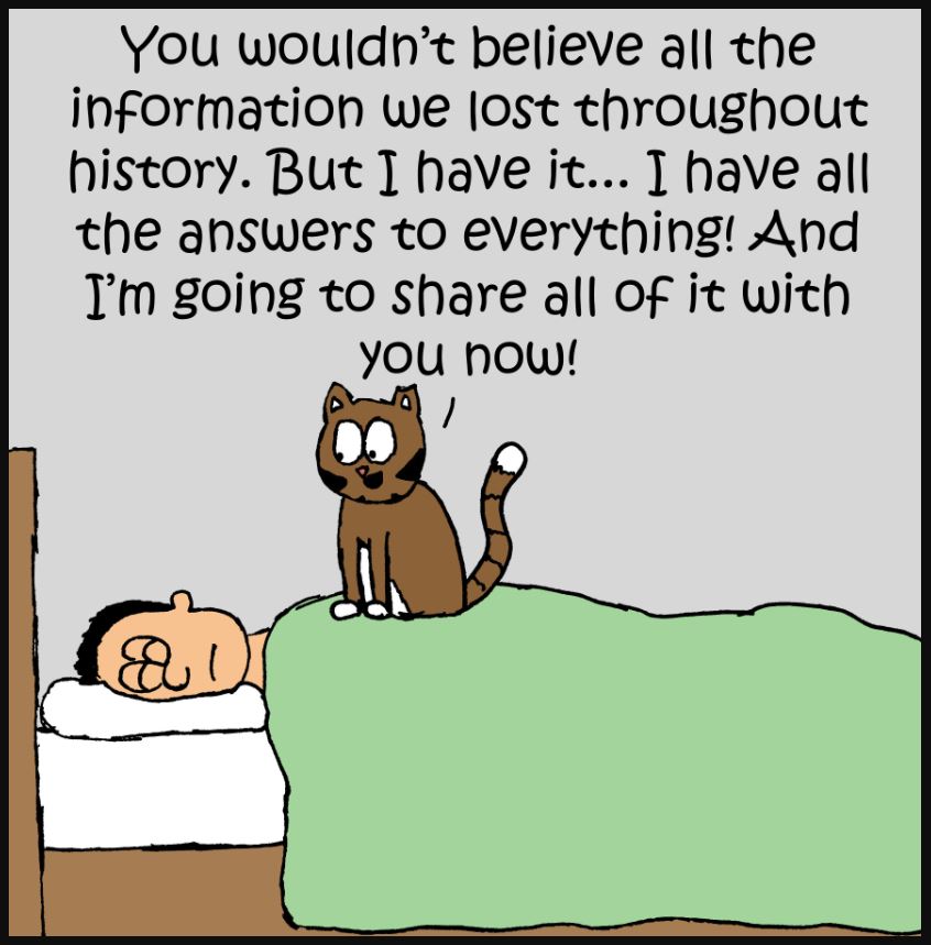 iizcat meaning of life comic 5