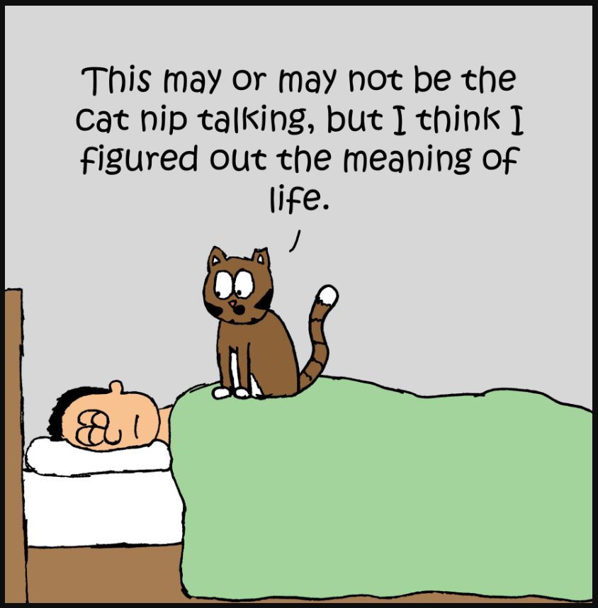 iizcat meaning of life comic 3