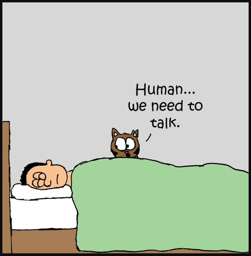 iizcat meaning of life comic 2