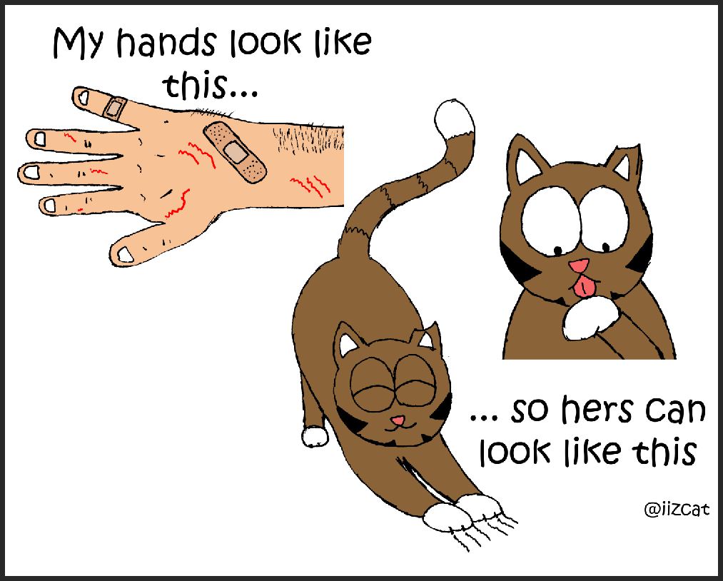 my hands look like this iizcat comic