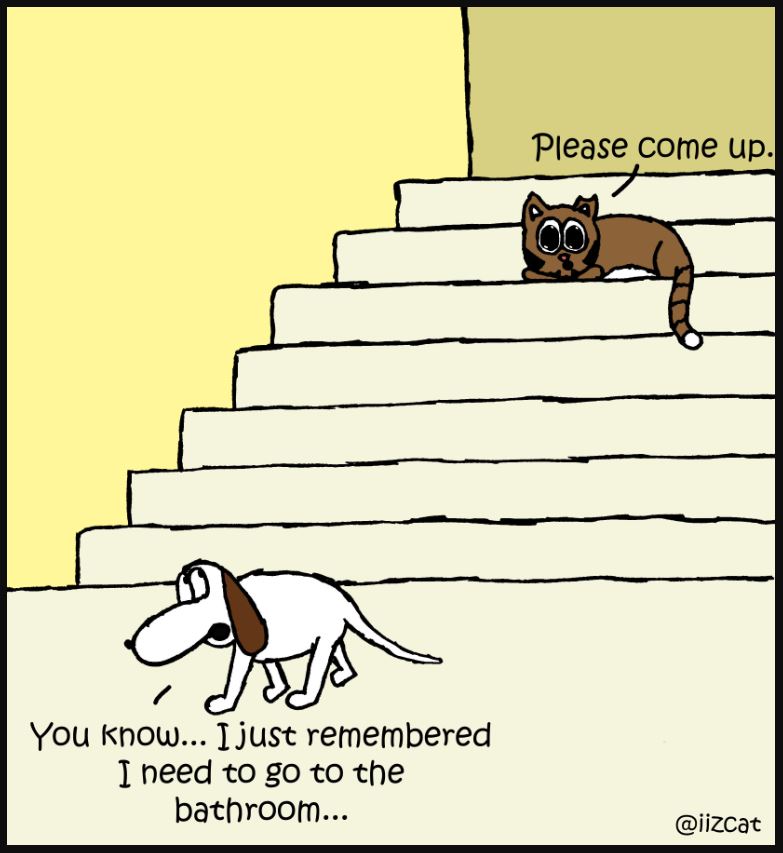 When the cat won't let the dog up the stairs...