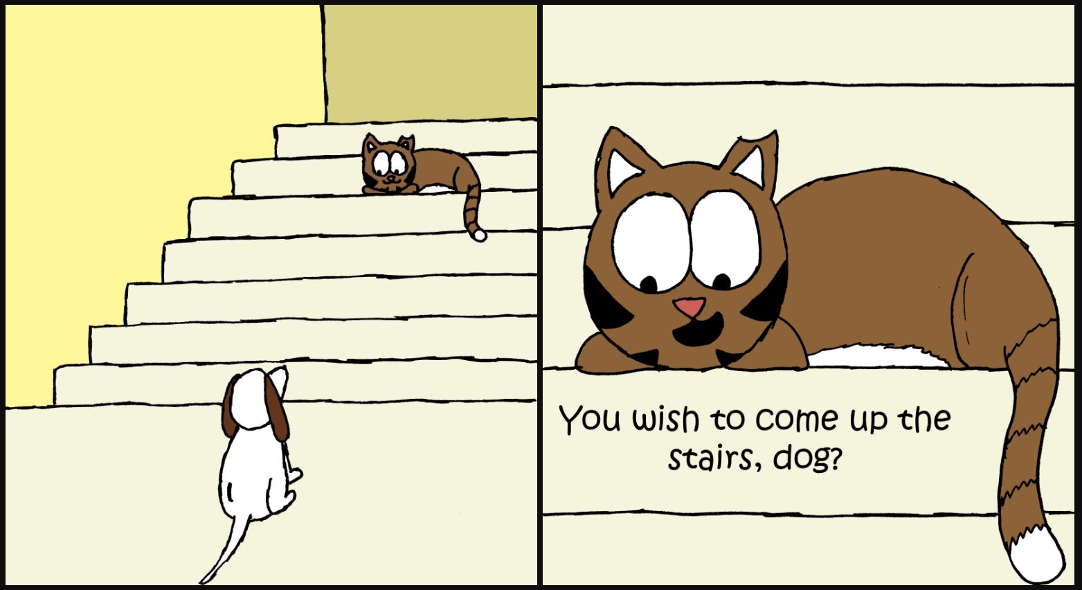 cat videos