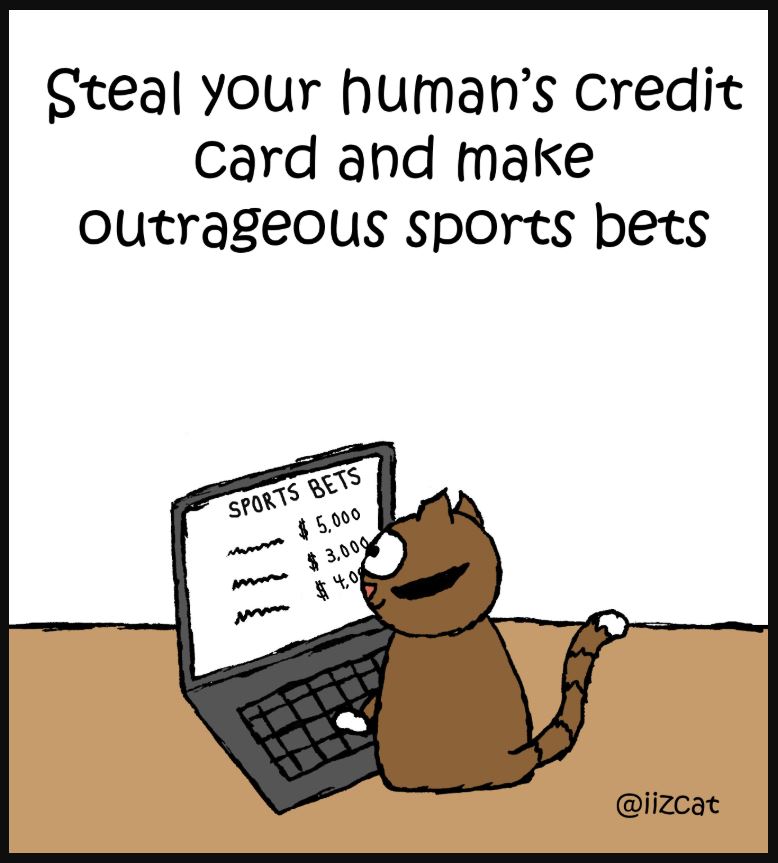 iizcat superbowl cat comic 4
