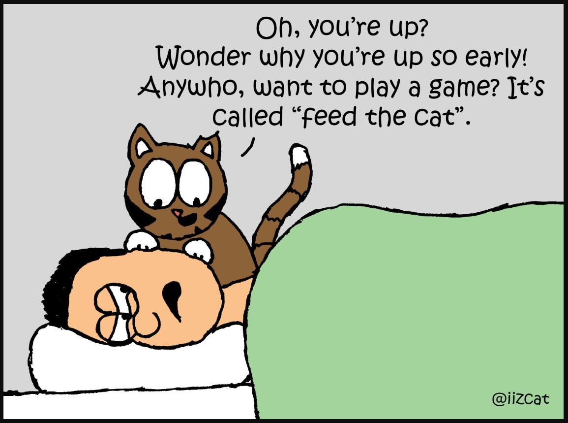 iizcat cat alarm clock comic 6