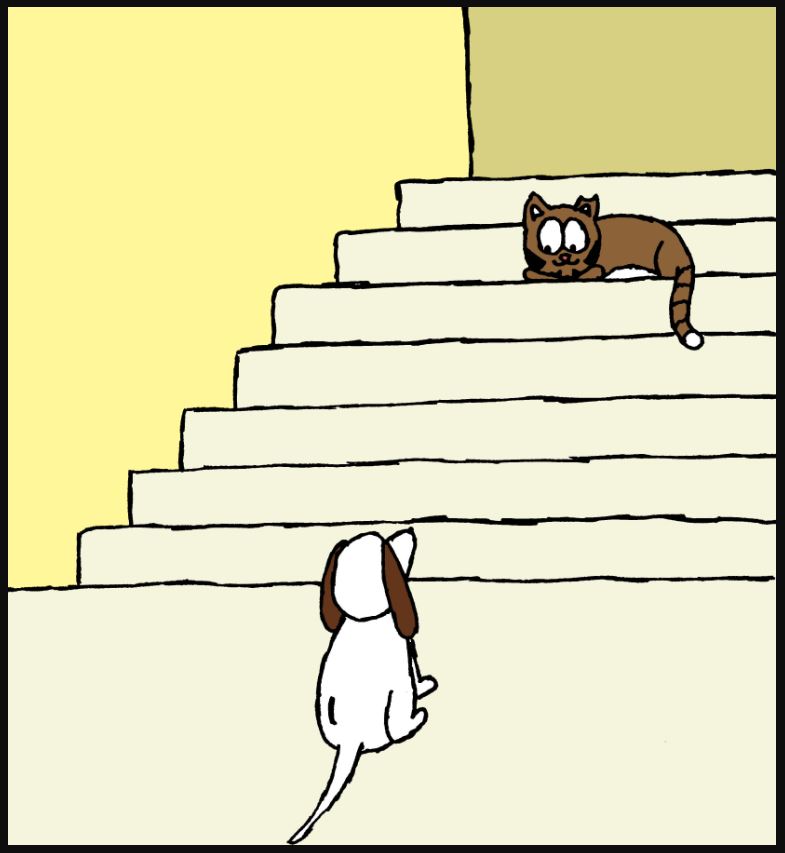 When the cat won't let the dog up the stairs...