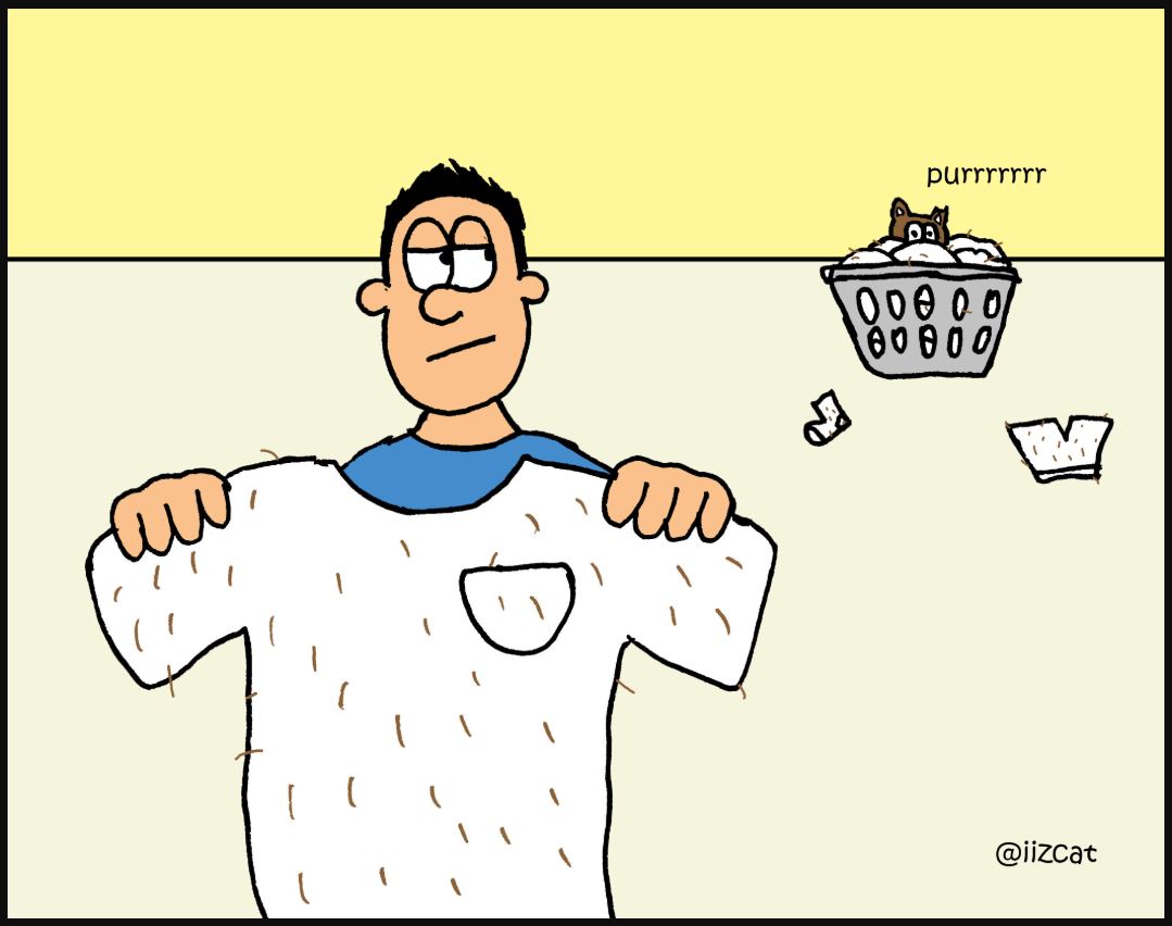 iizcat fresh laundry comic 2