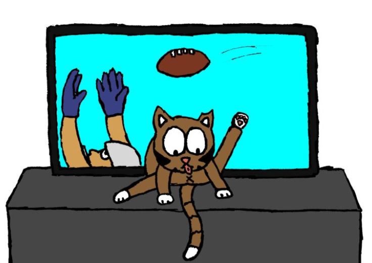 cat pictures