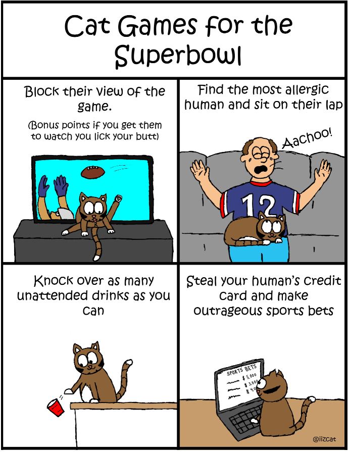 iizcat superbowl cat comic 6
